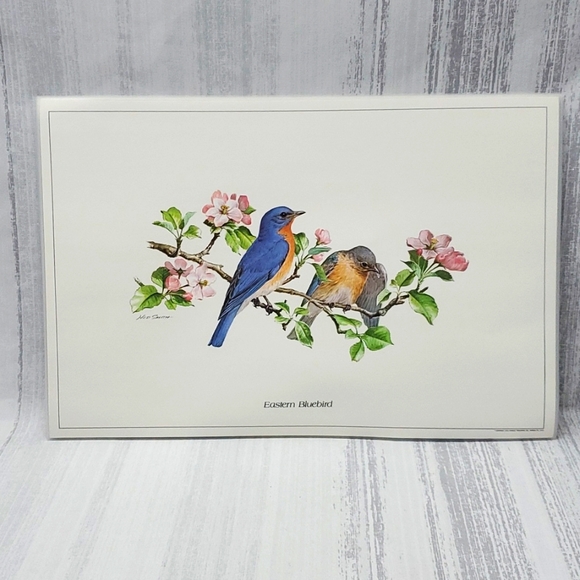 Ned Smith 6Pc Placemats SongBird Series - Picture 3 of 14